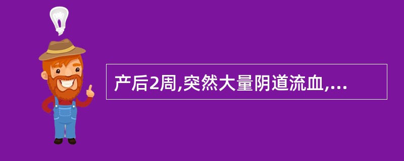 产后2周,突然大量阴道流血,检查子宫大而软,宫口松,有血块填塞,最可能的原因是