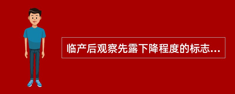 临产后观察先露下降程度的标志是下列哪一项( )A、骶岬B、坐骨棘水平C、坐骨结节