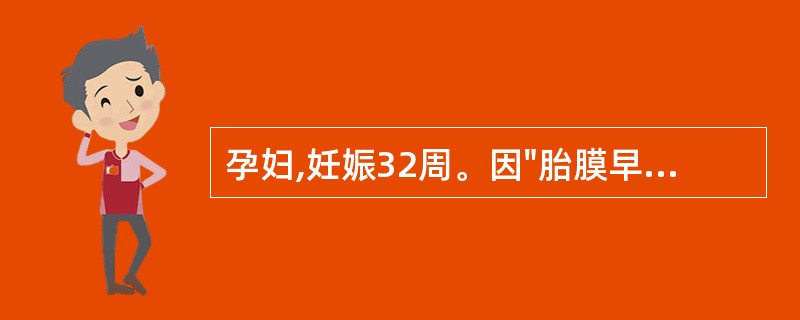 孕妇,妊娠32周。因"胎膜早破"14h入院。检查发现胎心正常,无腹痛。错误的处理