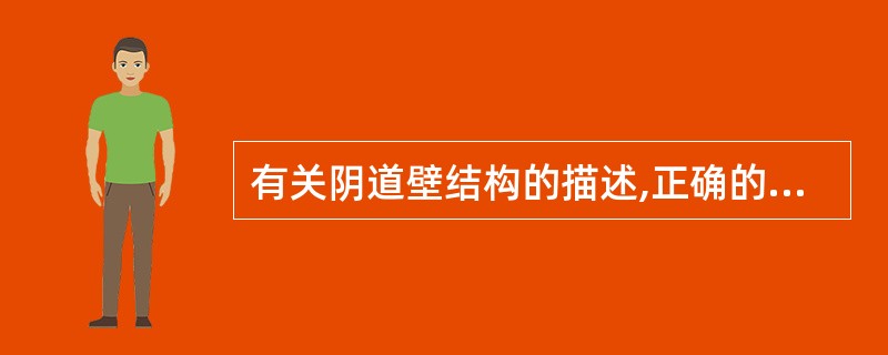 有关阴道壁结构的描述,正确的是下列哪项A、横纹皱襞及弹性纤维B、纵纹皱襞及平滑肌