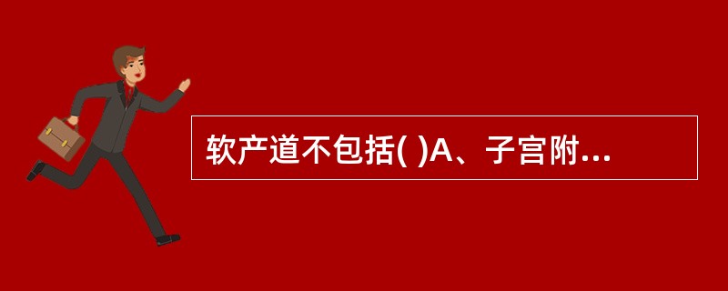 软产道不包括( )A、子宫附件B、子宫下段C、宫颈D、阴道E、骨盆底软组织 -