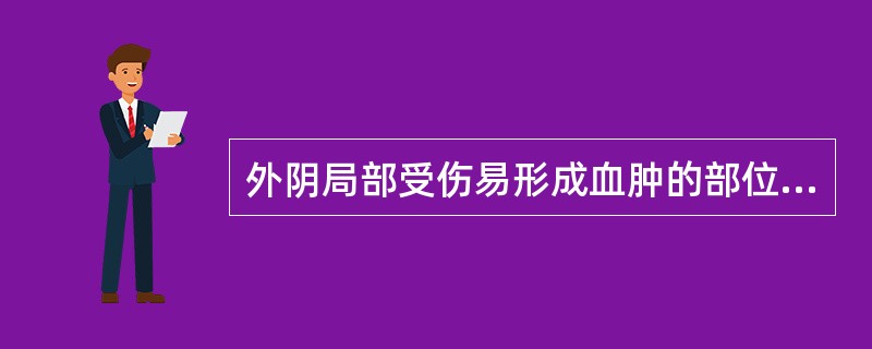 外阴局部受伤易形成血肿的部位是A、阴阜B、小阴唇C、大阴唇D、阴道前庭E、阴蒂