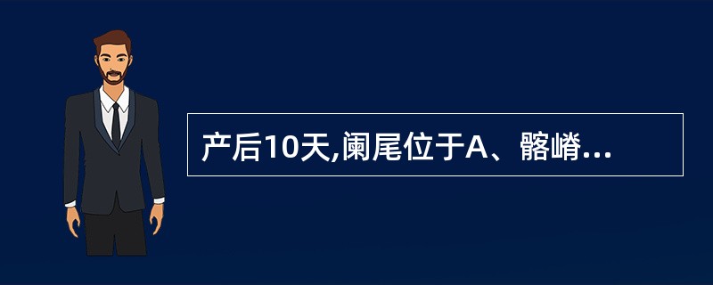 产后10天,阑尾位于A、髂嵴下2横指B、髂嵴水平C、右髂前上棘至脐连线中外1£¯