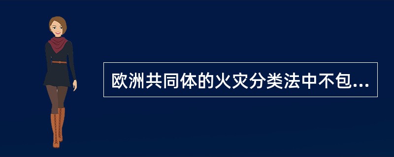 欧洲共同体的火灾分类法中不包括()