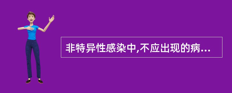 非特异性感染中,不应出现的病理改变是