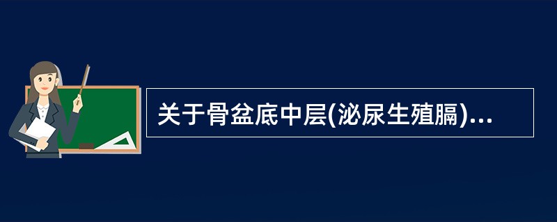 关于骨盆底中层(泌尿生殖膈)组成的描述,下列正确的是( )A、会阴浅横肌,球海绵