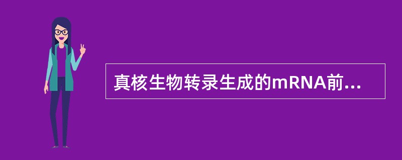 真核生物转录生成的mRNA前体的加工过程不包括