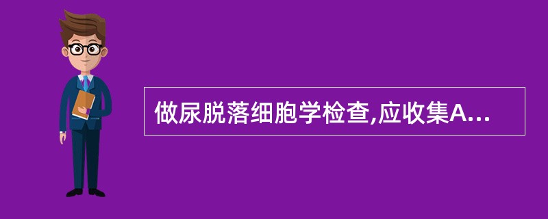 做尿脱落细胞学检查,应收集A、晨起第一次尿B、晨起第二次尿C、收集12小时尿D、