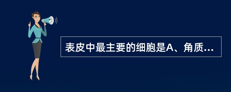 表皮中最主要的细胞是A、角质形成细胞B、黑素细胞C、朗格汉斯细胞D、未定类细胞E