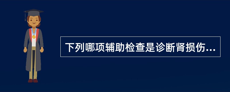 下列哪项辅助检查是诊断肾损伤的重要依据A、B超B、CTC、排泄性尿路造影D、动脉