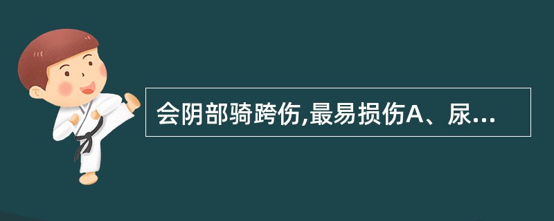 会阴部骑跨伤,最易损伤A、尿道球部B、尿道阴茎部C、尿道膜部D、尿道前列腺部E、