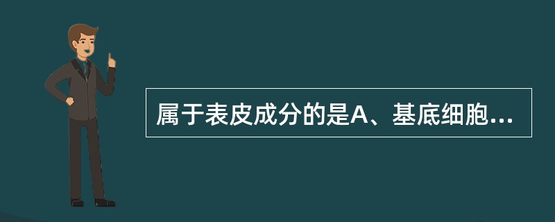 属于表皮成分的是A、基底细胞B、棘细胞C、Merkel细胞D、血管E、黑素细胞