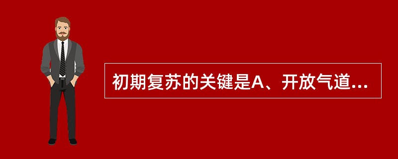 初期复苏的关键是A、开放气道,维持气道通畅B、人工呼吸C、胸外心脏按压D、电除颤