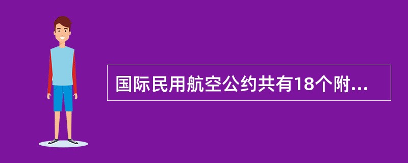 国际民用航空公约共有18个附件,其中附件1是:()