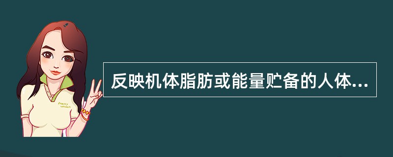 反映机体脂肪或能量贮备的人体测量指标是A、体重指数B、体重C、上臂周径D、上臂肌