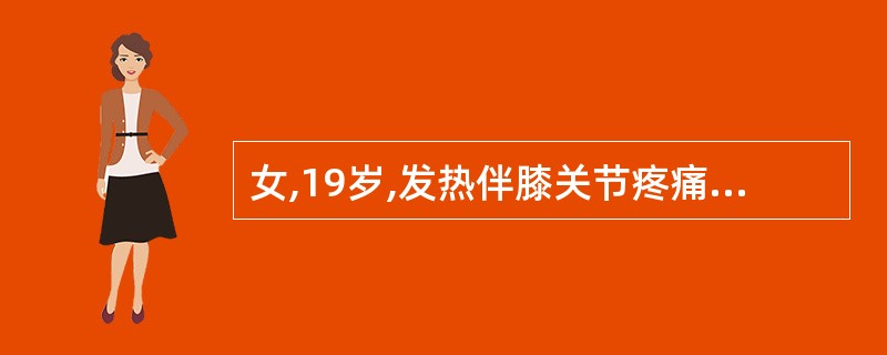 女,19岁,发热伴膝关节疼痛近2个月。入院查体:体温 38.8℃,脉搏90次£¯