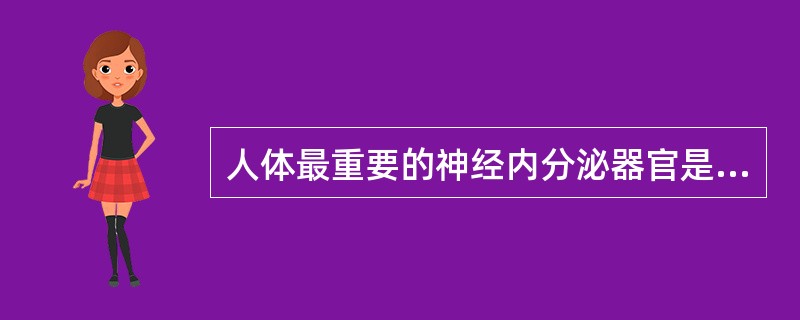 人体最重要的神经内分泌器官是A、下丘脑B、垂体C、肾上腺D、甲状腺E、胰岛 -