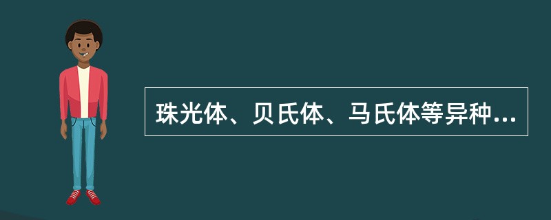 珠光体、贝氏体、马氏体等异种钢焊接,预热方法与温度按()的钢种确定。