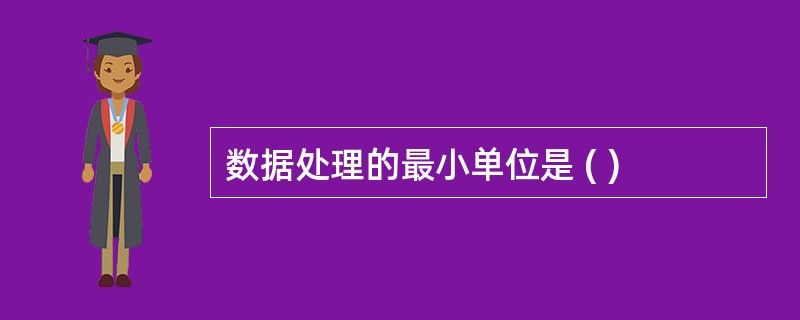 数据处理的最小单位是 ( )