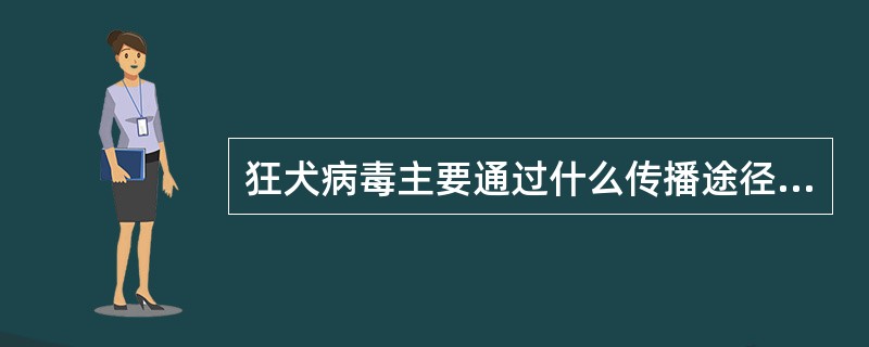 狂犬病毒主要通过什么传播途径进入人体内A、通过染毒唾液污染各种伤口黏膜B、通过剥