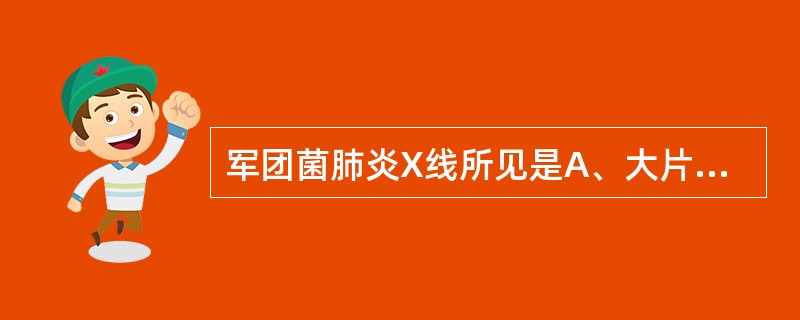 军团菌肺炎X线所见是A、大片炎症浸润影或实变影B、肺蜂窝状肺脓肿C、肺部多种形态