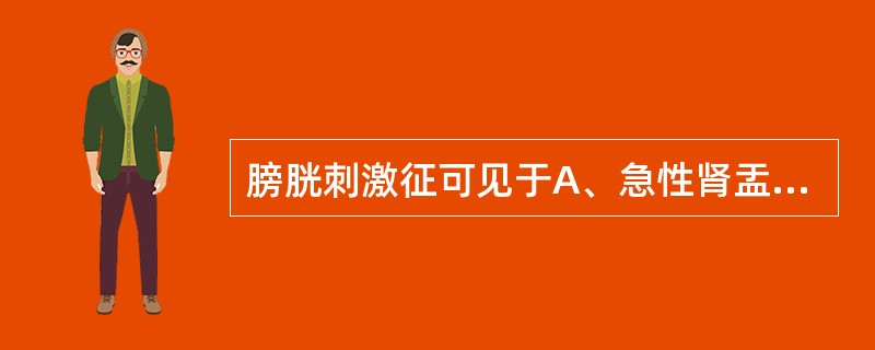 膀胱刺激征可见于A、急性肾盂肾炎B、慢性肾盂肾炎C、慢性肾小球肾炎D、急进性肾小