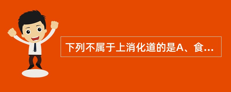下列不属于上消化道的是A、食管B、结肠C、胃、十二指肠D、胃空肠吻合口E、胰腺、