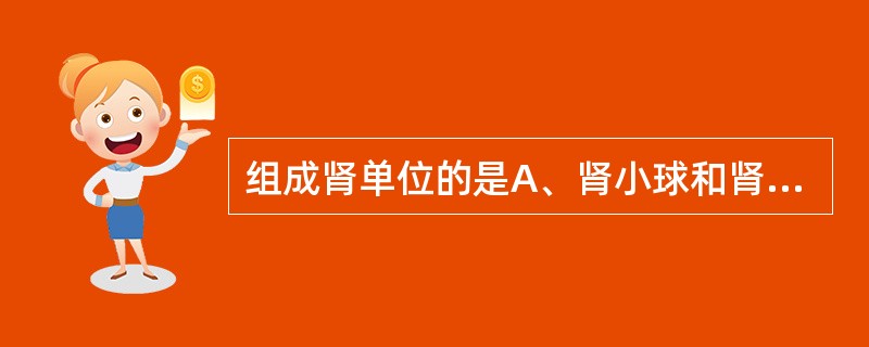 组成肾单位的是A、肾小球和肾小管B、肾小球和肾小囊C、肾小体和肾小管D、皮质和髓