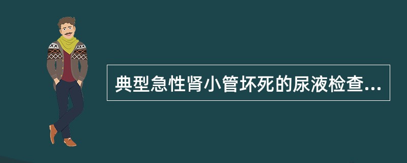 典型急性肾小管坏死的尿液检查可见( )A、蜡样管型B、透明管型C、上皮细胞管型D