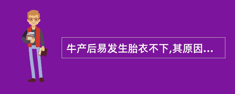 牛产后易发生胎衣不下,其原因之一是牛胎盘形态结构属于( )A、子叶型胎盘B、弥散