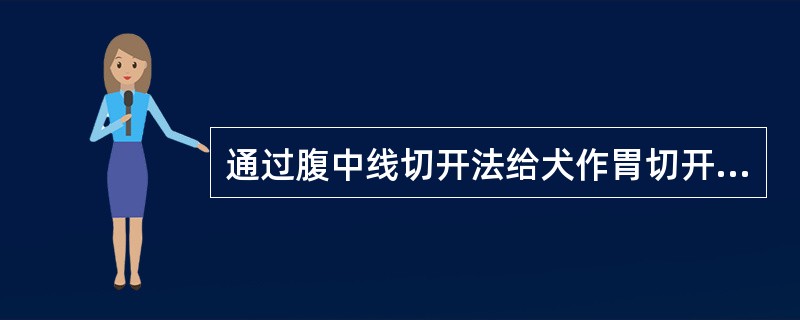 通过腹中线切开法给犬作胃切开术,沿下界距脐孔2~3cm向上切开