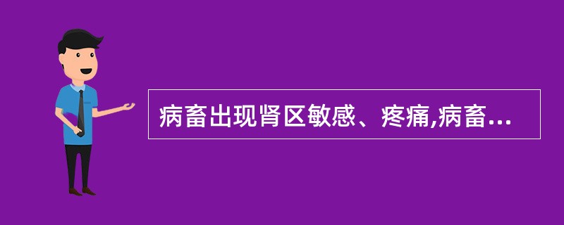 病畜出现肾区敏感、疼痛,病畜频频排尿,少尿、血尿、蛋白尿,尿沉渣中见有肾上皮细胞