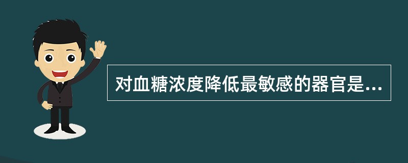 对血糖浓度降低最敏感的器官是A、心脏B、大脑C、小脑D、肺脏E、肝脏