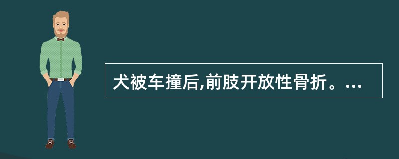 犬被车撞后,前肢开放性骨折。数日后,精神沉郁,骨折下部组织溃烂,呈褐绿色黏泥样,