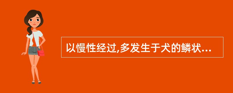 以慢性经过,多发生于犬的鳞状细胞癌是A、眼部皮肤鳞状细胞癌B、会阴部鳞状细胞癌C