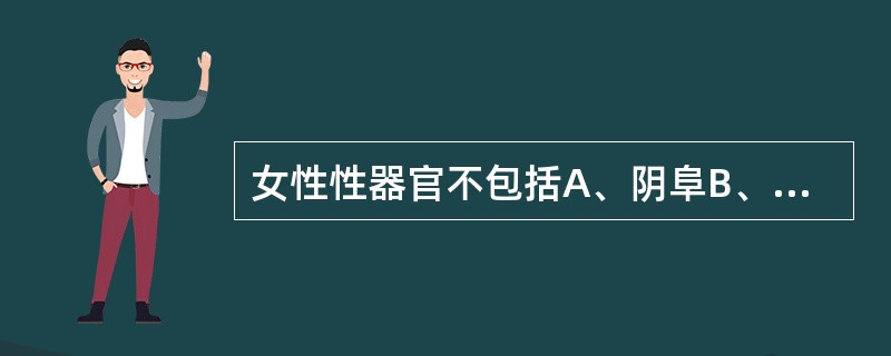 女性性器官不包括A、阴阜B、外生殖器C、阴道D、子宫E、卵巢