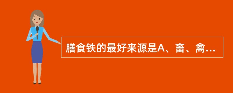 膳食铁的最好来源是A、畜、禽、鱼类B、豆类C、粮谷类D、蔬菜类E、水果类