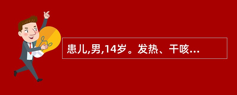 患儿,男,14岁。发热、干咳伴全身肌痛2天,胸部X线片示间质性肺炎,同班级中数人