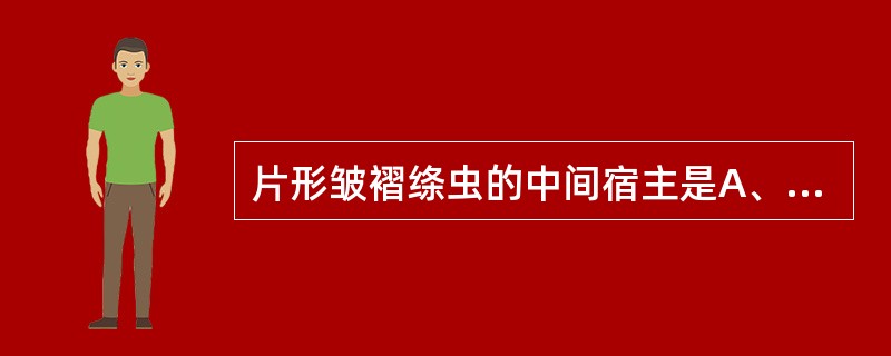 片形皱褶绦虫的中间宿主是A、剑水蚤B、蜻蜒C、蝇类D、蛞蝓E、甲壳类昆虫