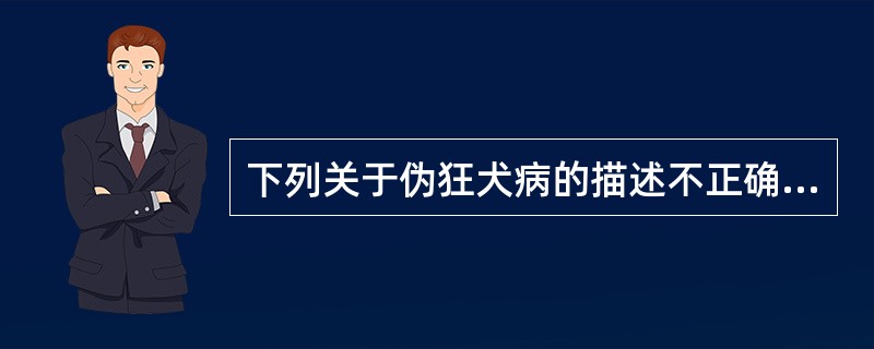 下列关于伪狂犬病的描述不正确的是A、伪狂犬病是由疱疹病毒科伪狂犬病病毒引起的B、