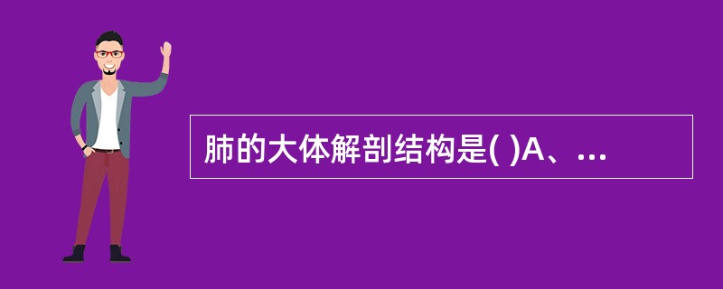 肺的大体解剖结构是( )A、左、右肺分为尖叶、心叶、膈叶和副叶(右肺才有),吸气