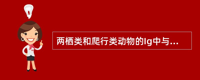 两栖类和爬行类动物的Ig中与哺乳动物的IgG功能相同和IgE结构相似的是()A、