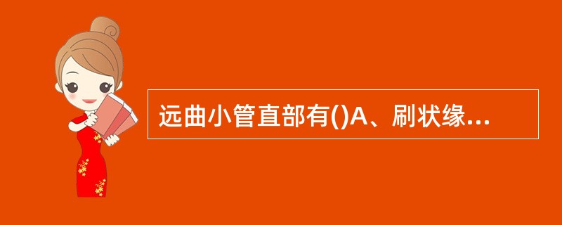 远曲小管直部有()A、刷状缘B、基底纵纹C、胞质侧突D、顶突小管