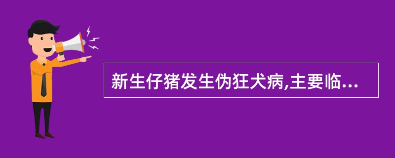 新生仔猪发生伪狂犬病,主要临诊特征为A、高度兴奋,意识紊乱,攻击人畜,四处游荡,