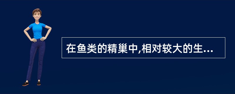 在鱼类的精巢中,相对较大的生殖细胞是()A、精原细胞B、初级精母细胞C、次级精母