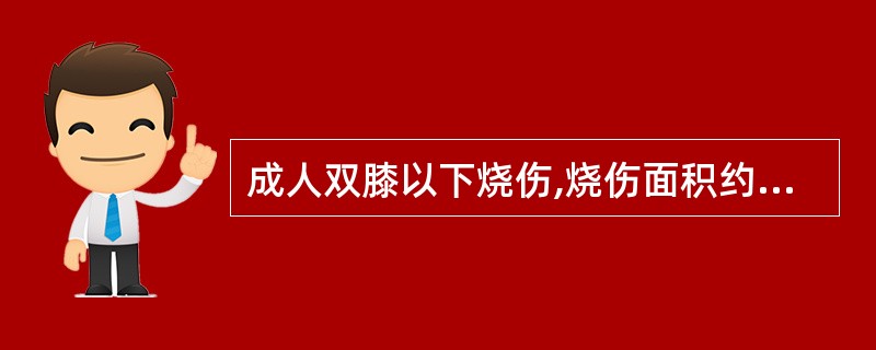 成人双膝以下烧伤,烧伤面积约占体表面积的;