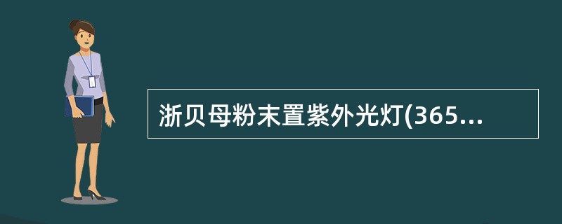 浙贝母粉末置紫外光灯(365nm)下观察,荧光颜色是