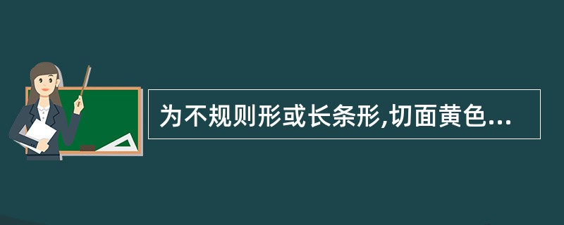 为不规则形或长条形,切面黄色,外表可见横向环纹,味苦,微辛的是