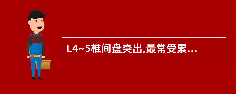 L4~5椎间盘突出,最常受累的神经根是
