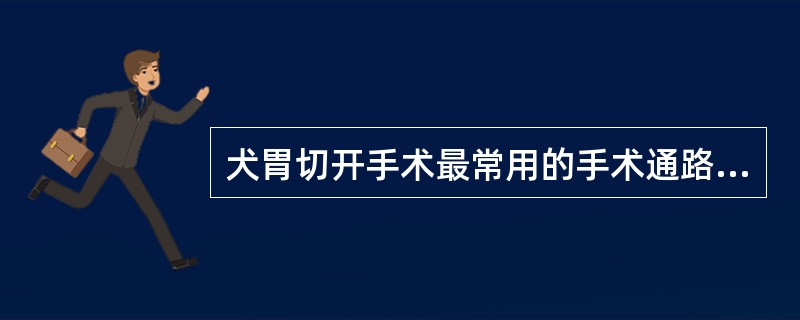 犬胃切开手术最常用的手术通路是( )